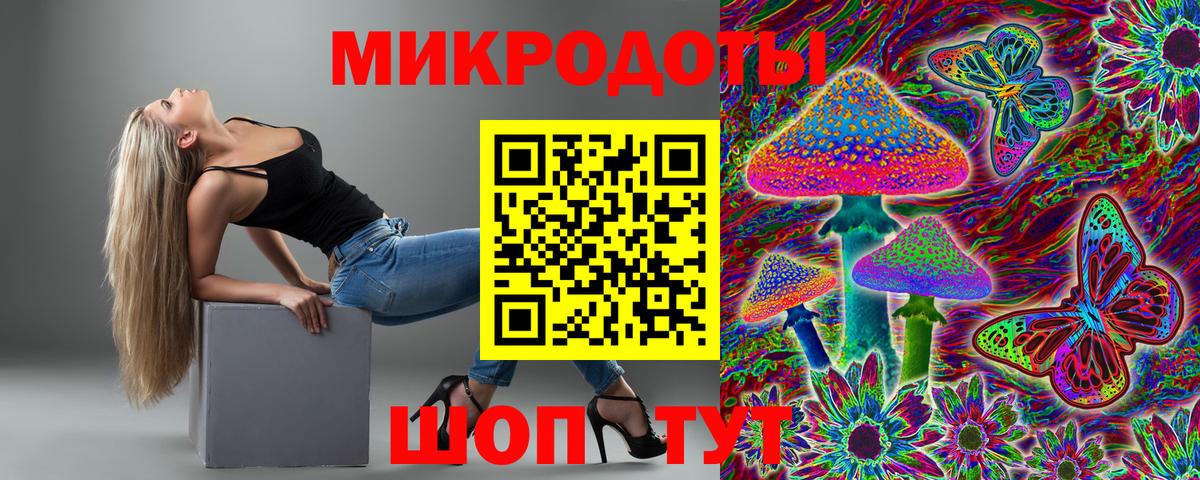 Галлюциногенные грибы прущие грибы Дивногорск