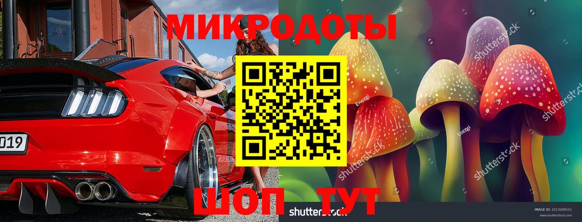 Псилоцибиновые грибы Psilocybine cubensis  Вход с VPN  Дивногорск 