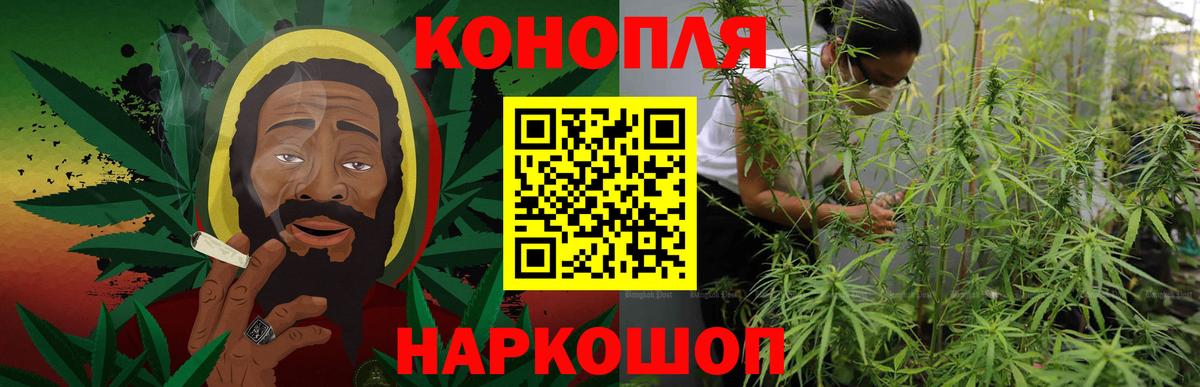 Шишки марихуана сатива  Вход с VPN  Дивногорск  Бошки Шишки ГИДРОПОН  Бошки Шишки MAZAR 
